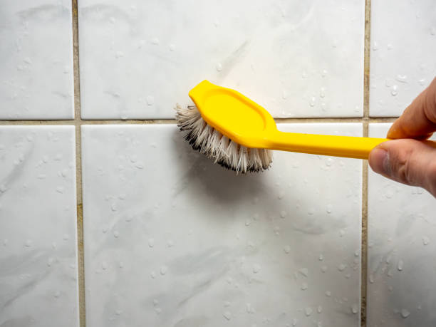 Best Same-Day Mold Removal  in Mount Dora, FL